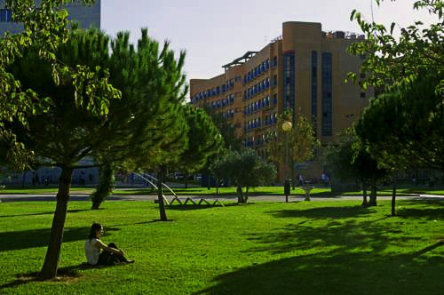 Colegio Mayor Galileo Galilei | Valencia: hoteles y apartamentos